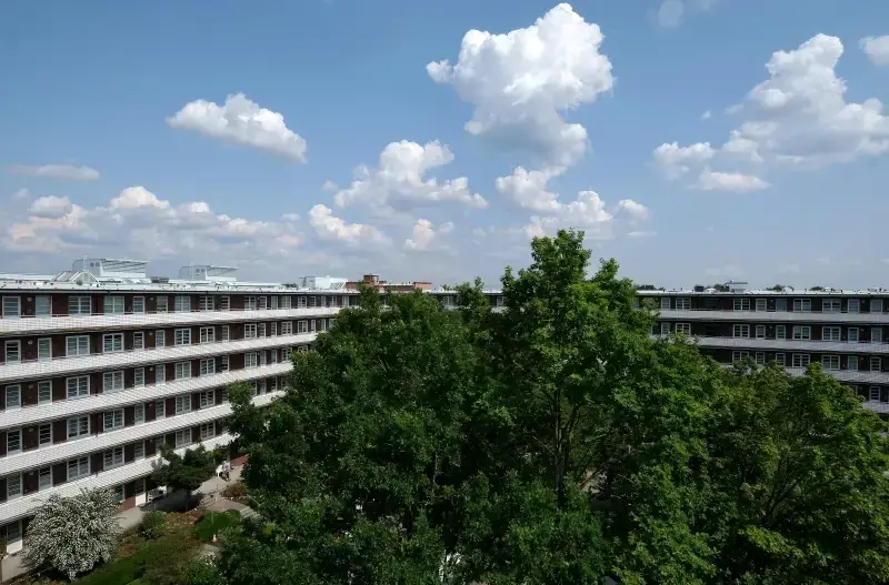 Köster Heinrich u. Caroline Testament-Stiftung in Hamburg