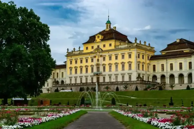 MSG — Medical Service Germany in Ludwigsburg