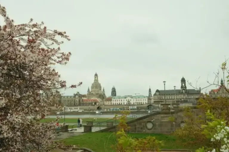 Pflegebetrieb Oettel GmbH - Dresden